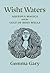 Wisht Waters: Aqueous Magica and the Cult of Holy Wells