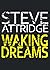Waking Dreams