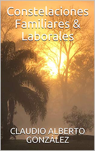 Constelaciones Familiares & Laborales (Kindle Edition)