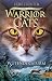 Wütender Sturm (Warrior Cats: Vision der Schatten; #6)