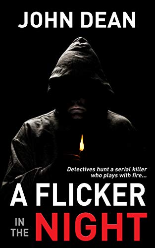 A Flicker in the Night (DCI John Blizzard, #7)