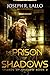 The Prison of Shadows (Shards of Shadow, #2)