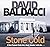 Stone Cold by David Baldacci Stone Cold by David Baldacci