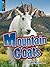 Mountain Goats