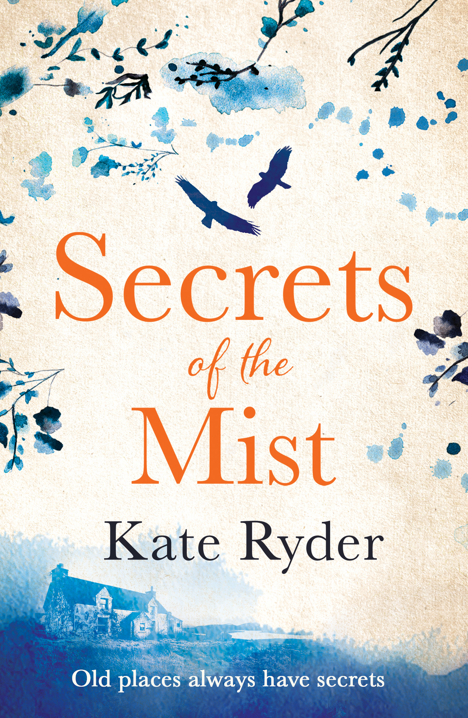 Secrets of the Mist (Kindle Edition)