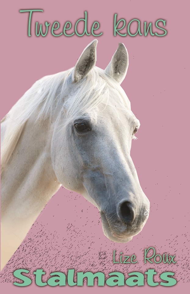 Stalmaats 21: Tweede Kans (Paperback)