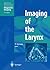 Imaging of the Larynx (Medical Radiology)