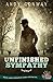 Unfinished Sympathy: Myster...