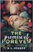 The Promise of Forever (The Promise Series #2)