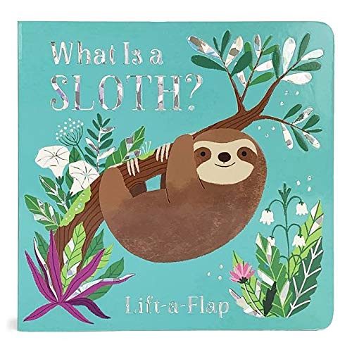What is a sloth? (Board book)