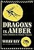 Dragons in Amber : Further Adventures of a Romantic Naturalist