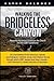 Walking the Bridgeless Canyon: Repairing the Breach between the Church and the LGBT community