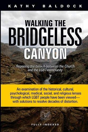 Walking the Bridgeless Canyon: Repairing the Breach between the Church and the LGBT community (Paperback)