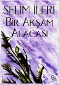 Bir Akşam Alacası