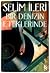 Bir Denizin Eteklerinde