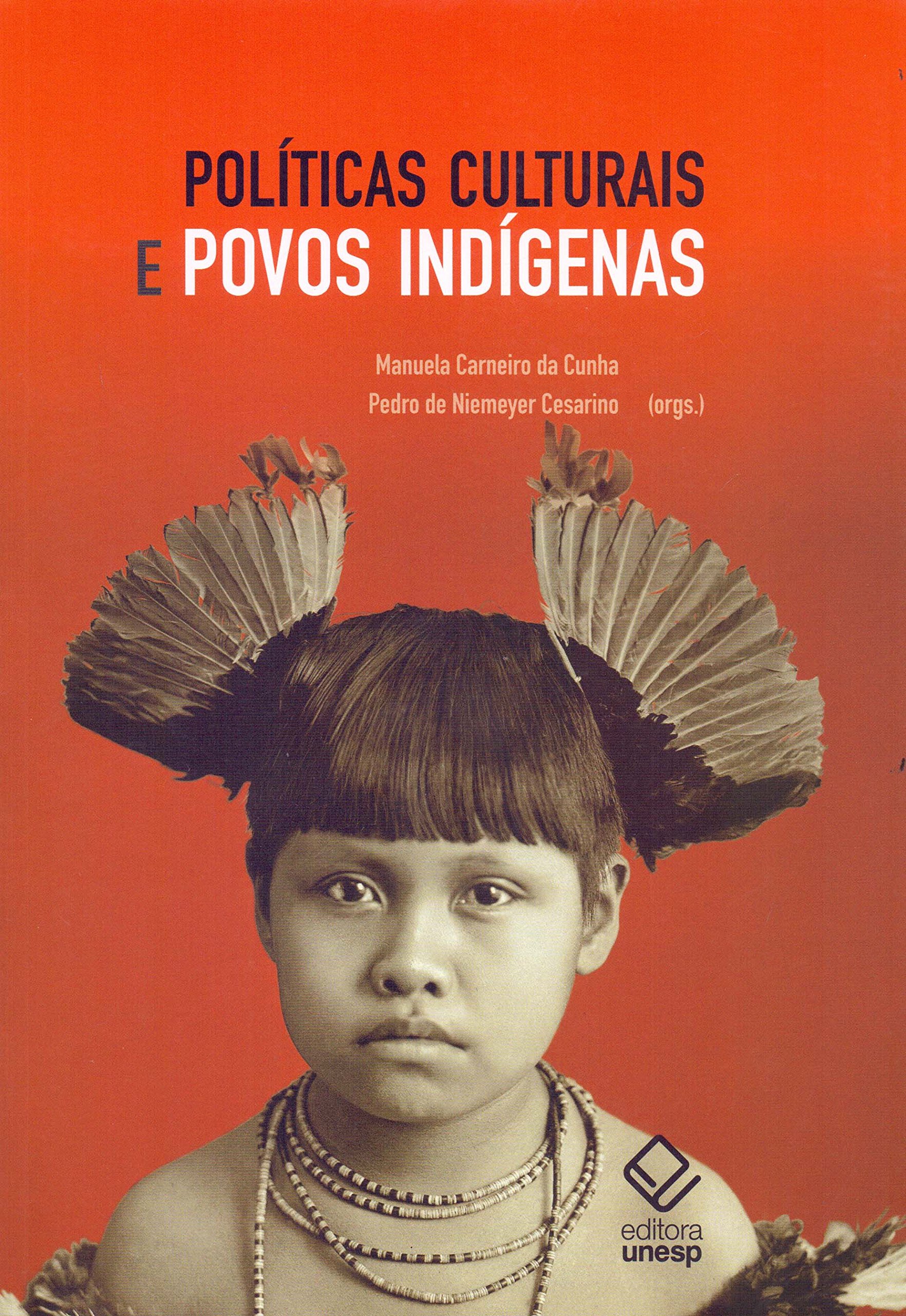 Políticas culturais e povos indígenas (Paperback)