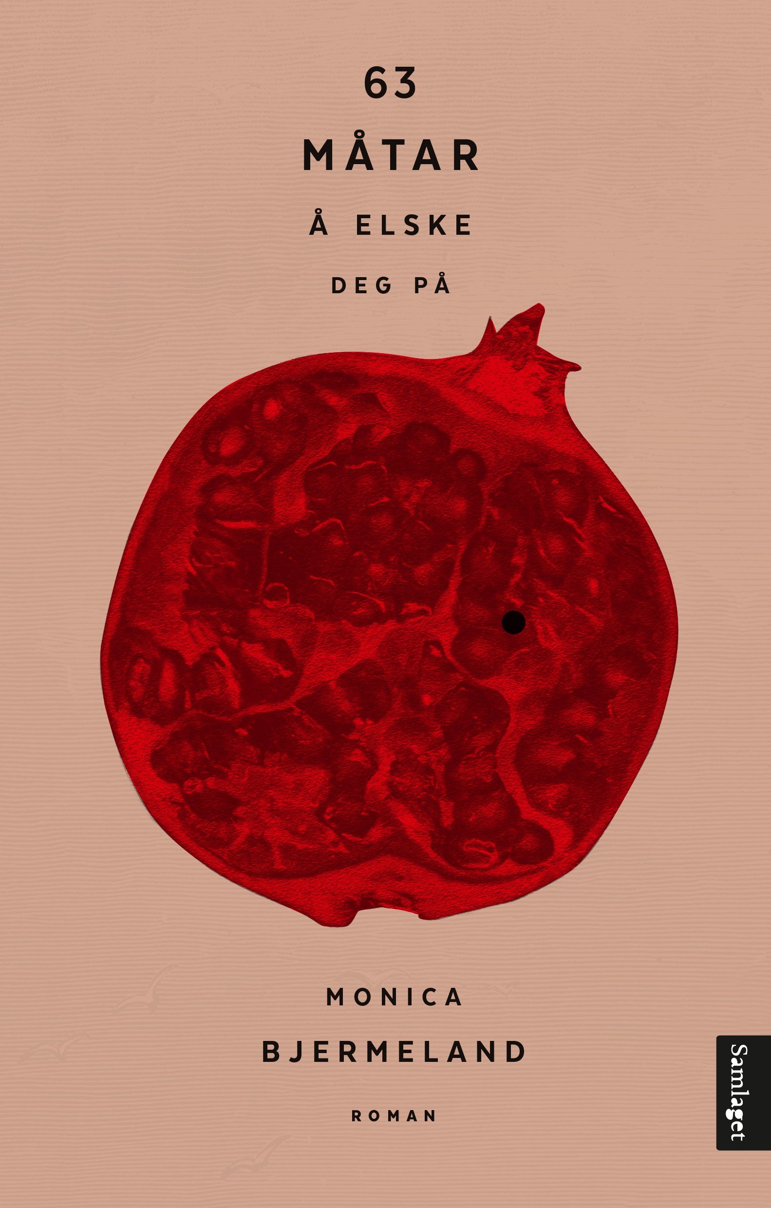 63 måtar å elske deg på (Hardcover)