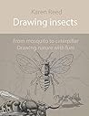 Drawing Insects: ...