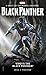 Marvel Novels - Who Is The Black Panther?