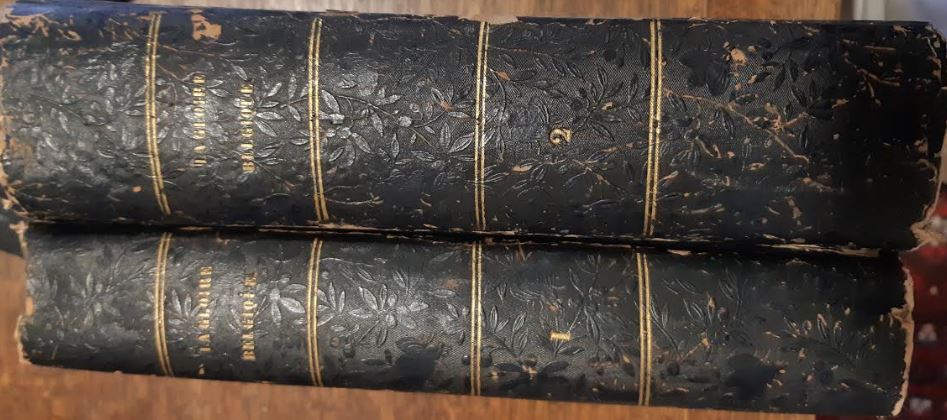 La Gloire Belgique. Poème National en dix chants, Volume 1 (Hardcover)