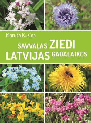 Savvaļas ziedi Latvijas gadalaikos (Hardcover)