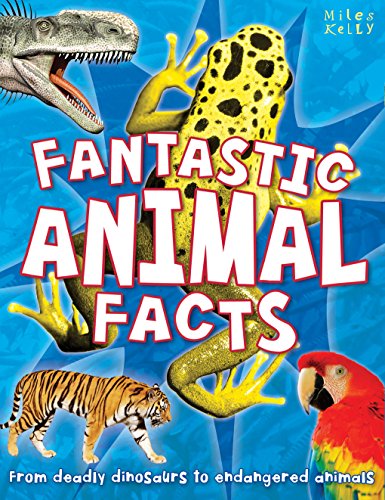 Fantastic Animal Facts (Paperback)