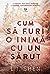 Cum să furi o inimă cu un sărut
