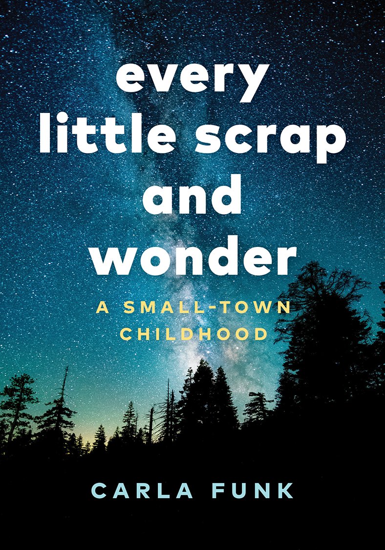 Every Little Scrap and Wonder (Paperback)