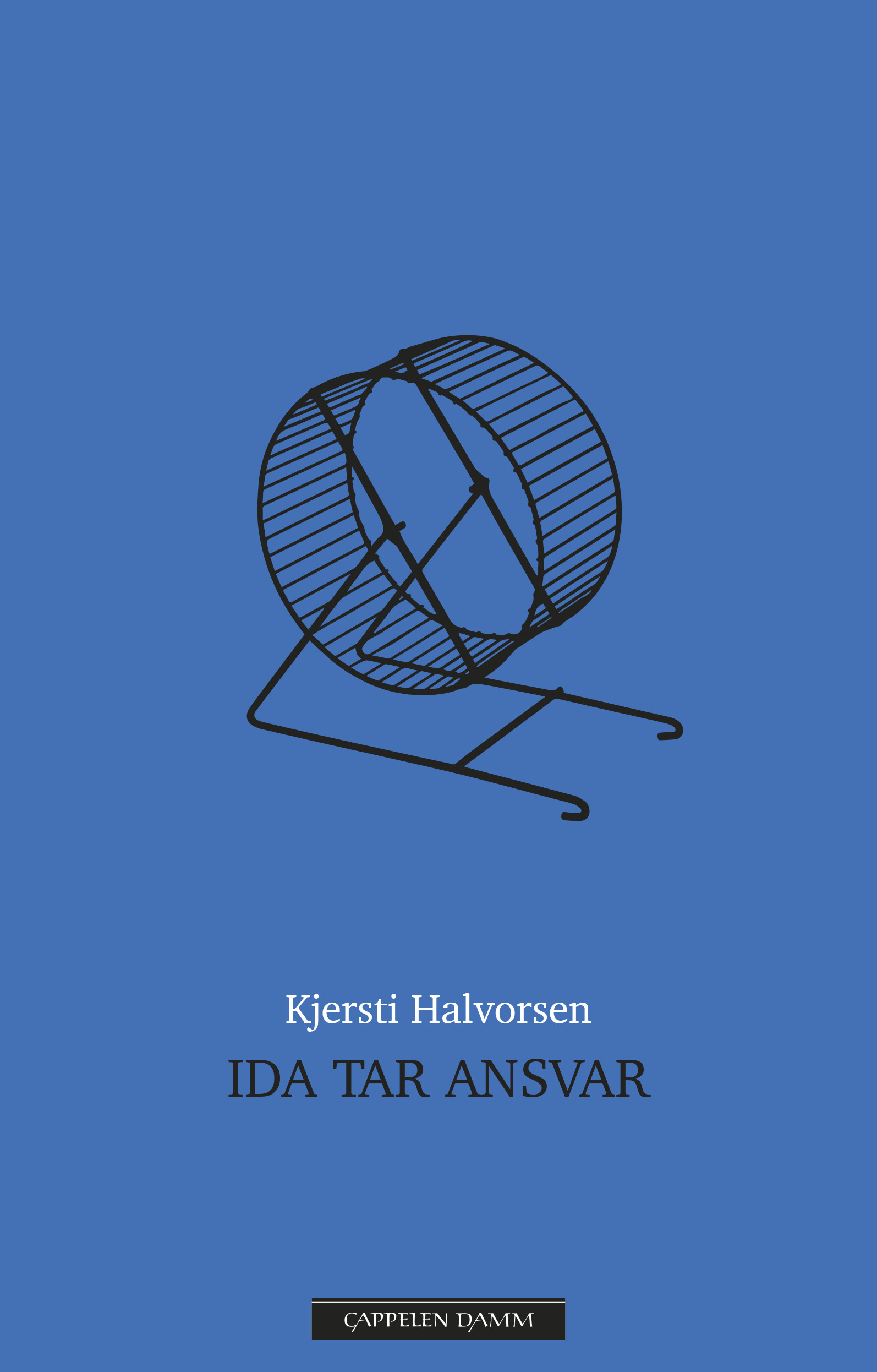 Ida tar ansvar (Hardcover)