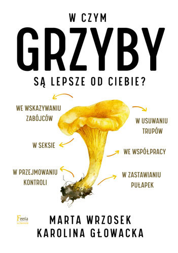 W czym grzyby są lepsze od ciebie? (Paperback)