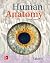 Human Anatomy