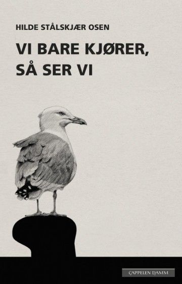 Vi bare kjører, så ser vi (Hardcover)