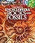 Children's Encyclopedia of Rocks and Fossils (Arcturus Children's Reference Library, 7)