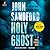 Holy Ghost by John Sandford