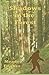 Shadows in the Forest by Meade Fischer