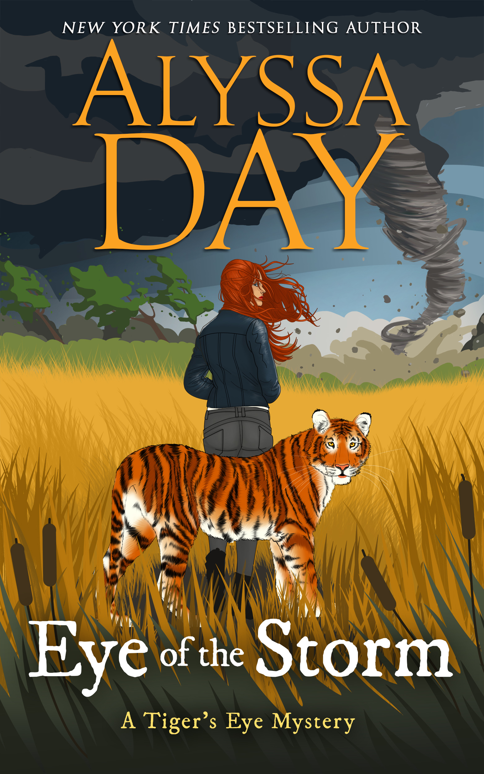 Eye of the Storm (Tiger's Eye Mystery #5)
