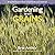 Gardening with Grains: Brin...