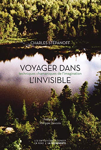 Voyager dans l'invisible (Kindle Edition)