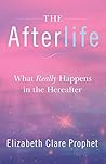 The Afterlife: Wh...