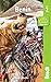 Benin (Bradt Travel Guides)