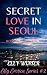 Secret Love in Seoul: Roman...
