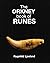 The Orkney Book of Runes