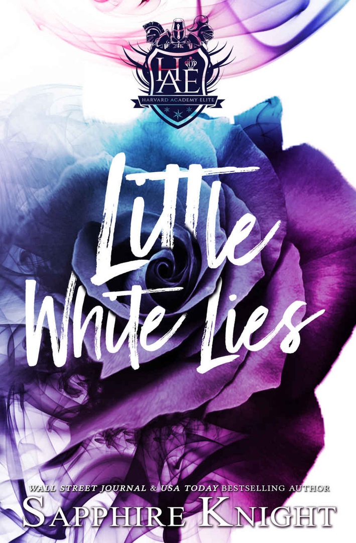 Little White Lies (Harvard Academy Elite, #1)