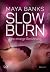 Eine einzige Berührung (Slow Burn #5)