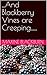...And Blackberry Vines are...