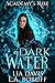 Dark Water (Academy's Rise Trilogy #2)