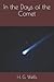 In the Days of the Comet
