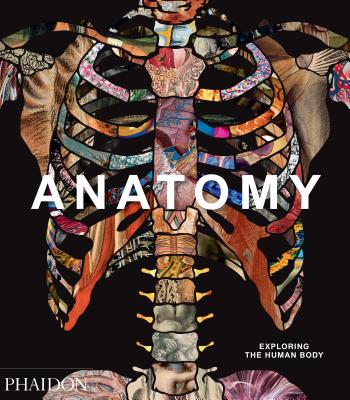 Anatomy: Exploring the Human Body (Hardcover)