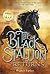 The Black Stallion Returns (Black Stallion Series, Book 2)