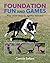 Foundation Fun And Games: Play Your Way To Agility Success